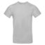 Pacific Grey