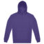 Radiant Purple