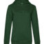 Bottle Green