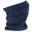 French Navy