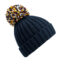 French Navy