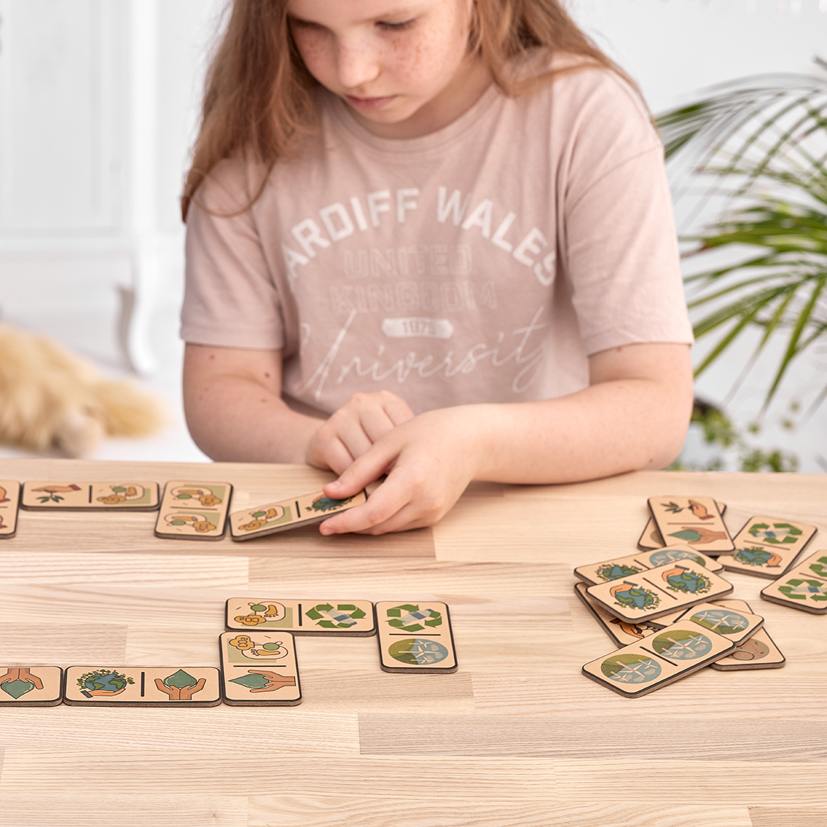 Domino Ecoworld - obrazek 5