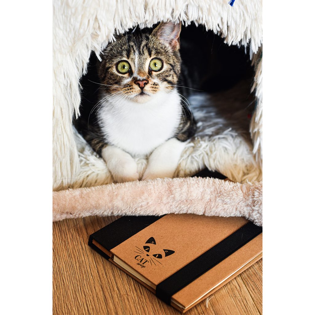 Notes memo 100x180/70k linia Kraft Paper - obrazek 5