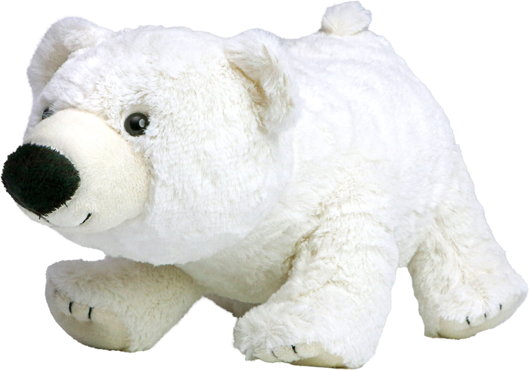 Niedźwiedź polarny Freddy