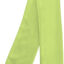 pastel green