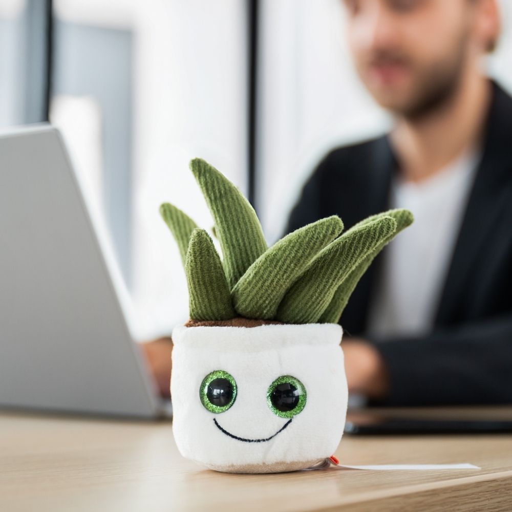 Schmoozies® Evergreenies® Aloe Vera - obrazek 3