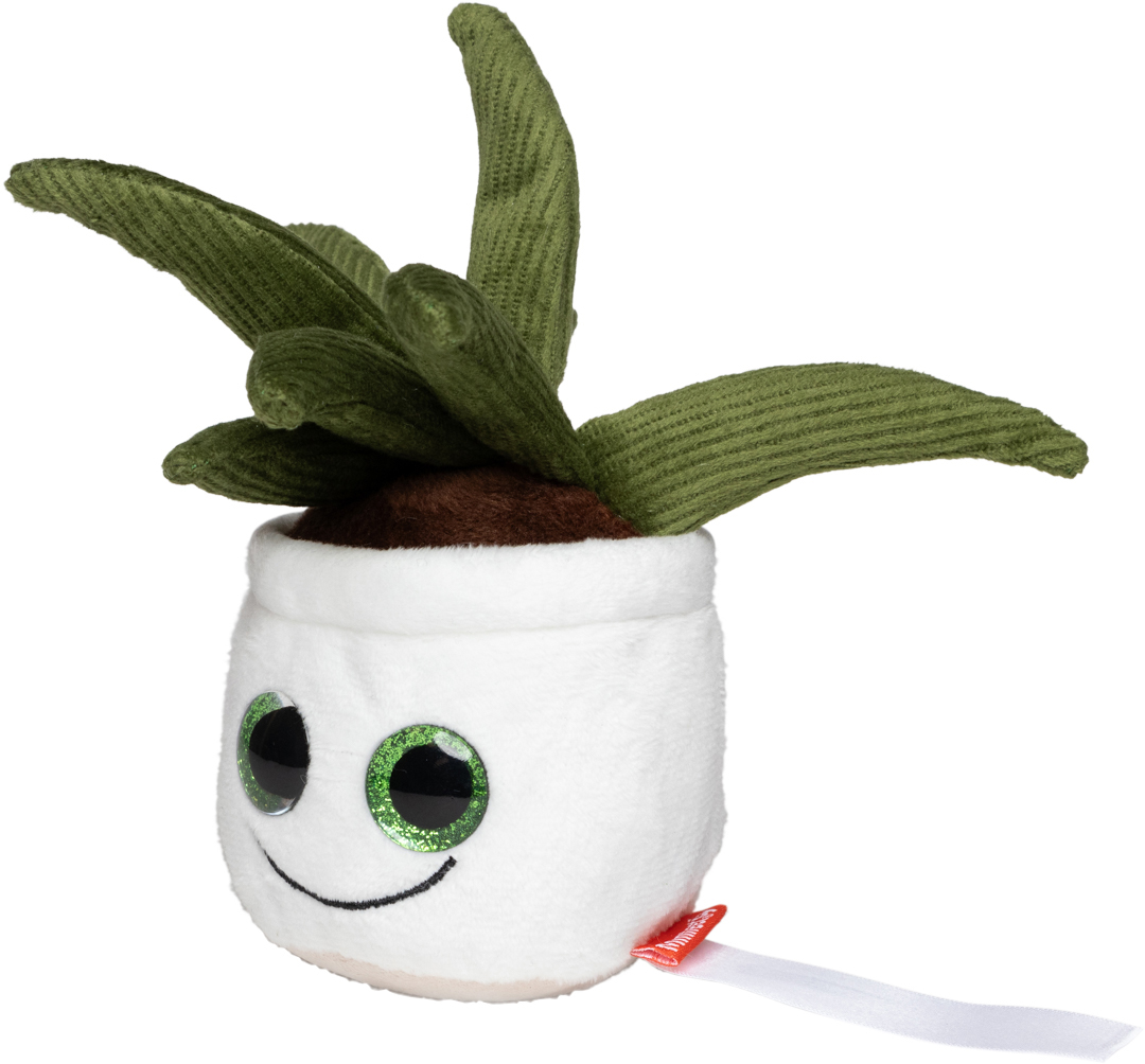 Schmoozies® Evergreenies® Aloe Vera - obrazek 6