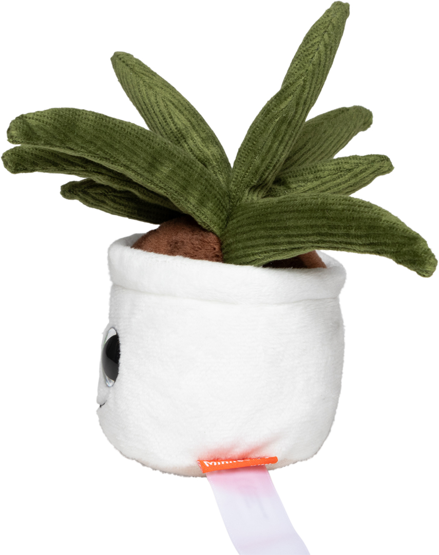 Schmoozies® Evergreenies® Aloe Vera - obrazek 7