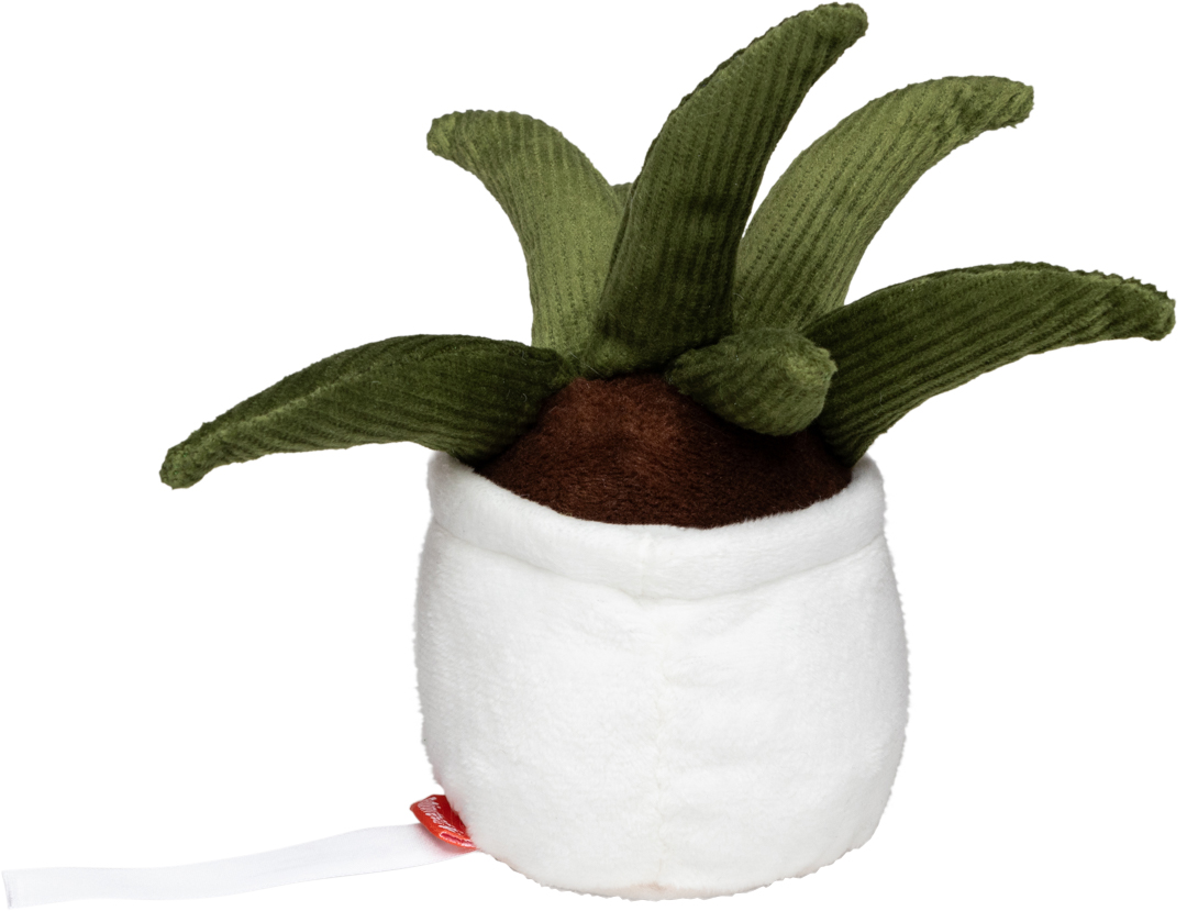 Schmoozies® Evergreenies® Aloe Vera - obrazek 8