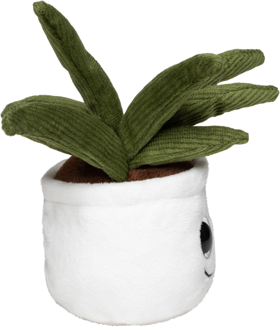 Schmoozies® Evergreenies® Aloe Vera - obrazek 9