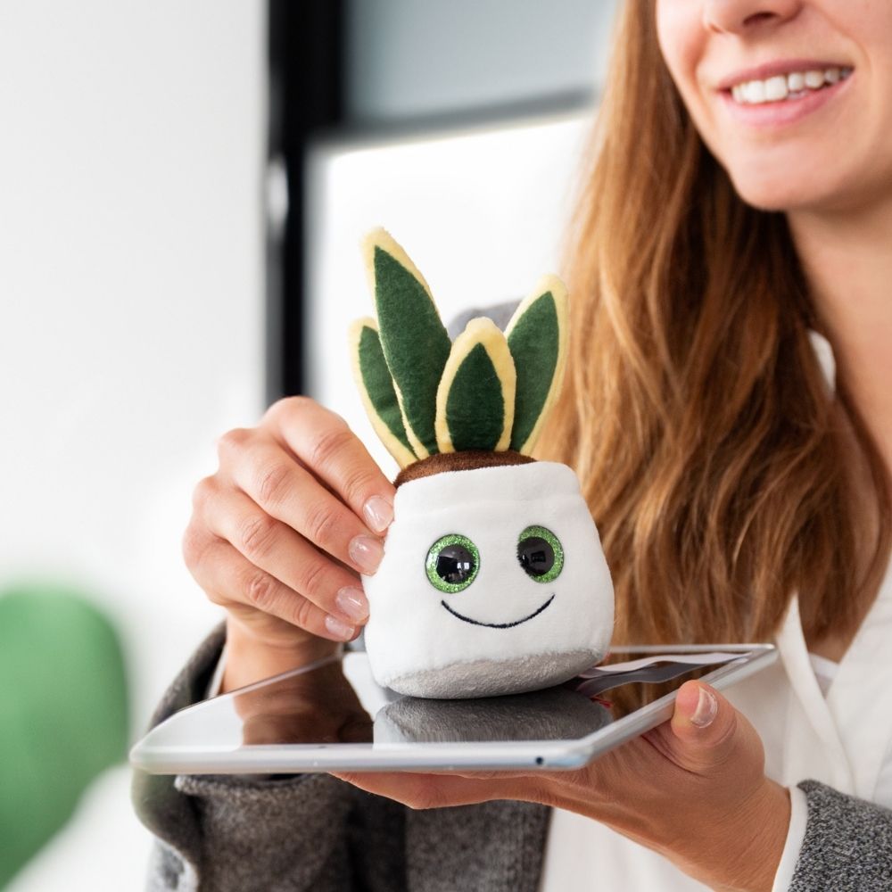 Wężownica Schmoozies® Evergreenies® - obrazek 3