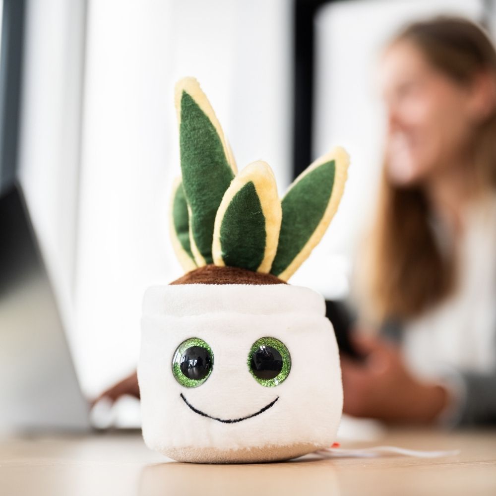 Wężownica Schmoozies® Evergreenies® - obrazek 4