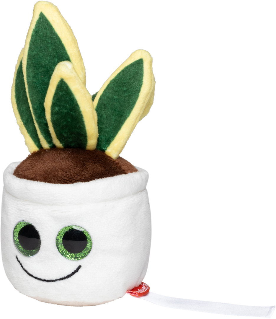 Wężownica Schmoozies® Evergreenies® - obrazek 6