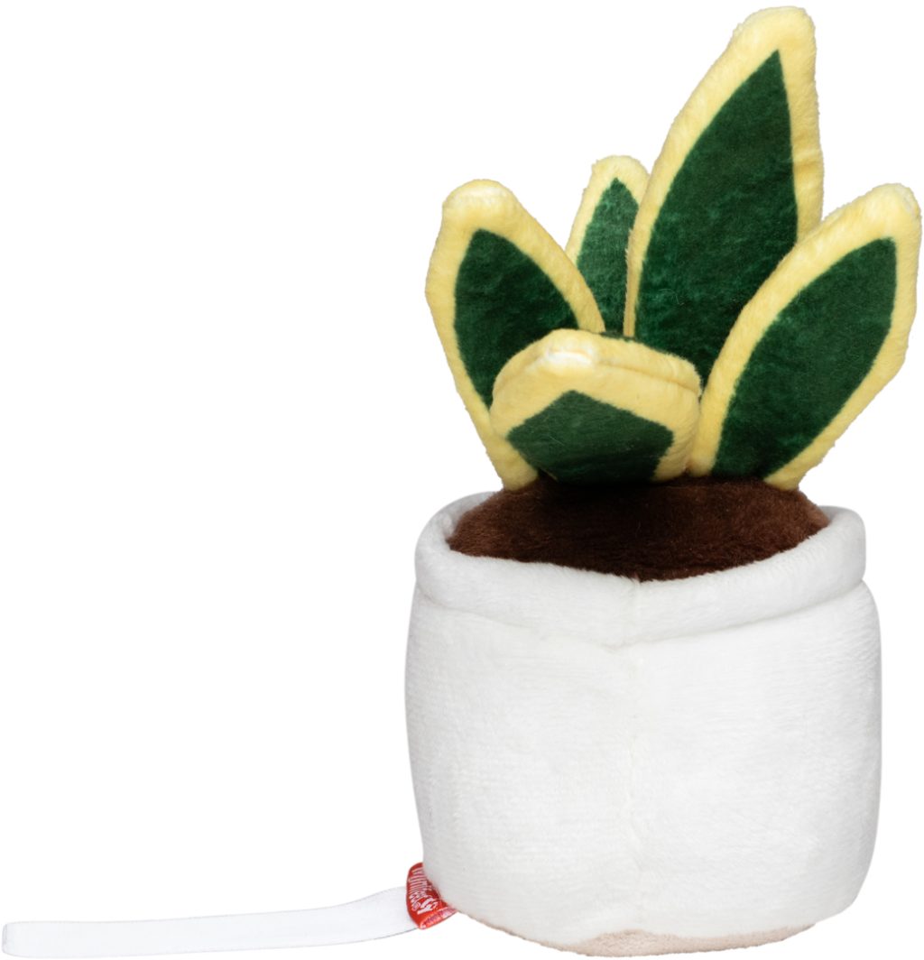 Wężownica Schmoozies® Evergreenies® - obrazek 8