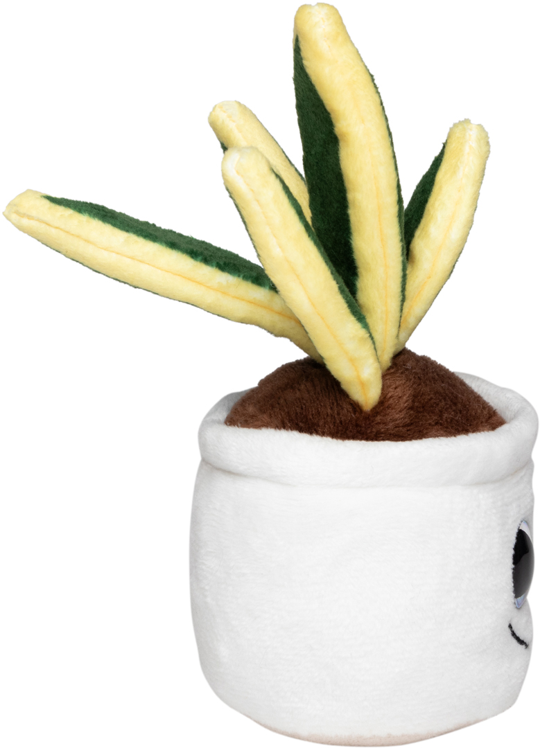 Wężownica Schmoozies® Evergreenies® - obrazek 9