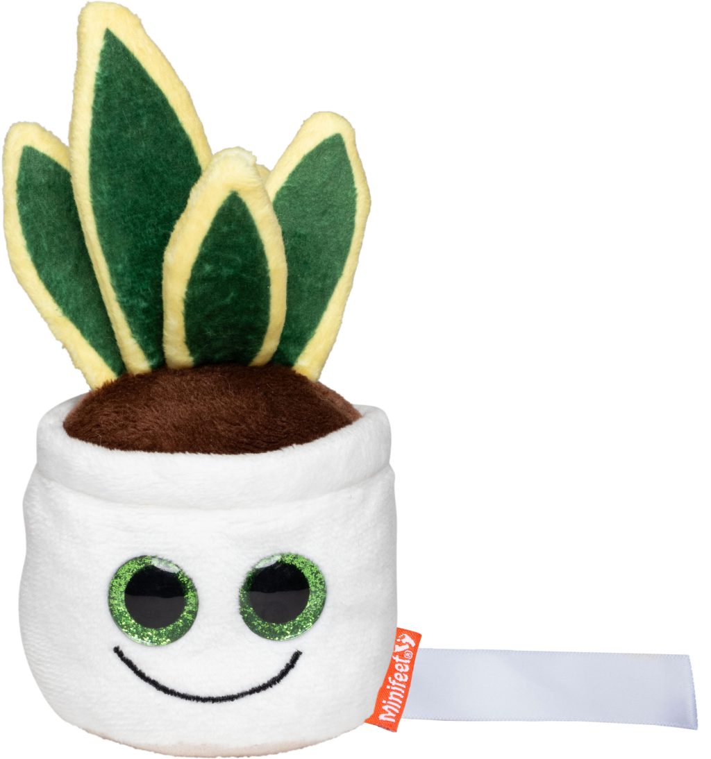 Wężownica Schmoozies® Evergreenies®