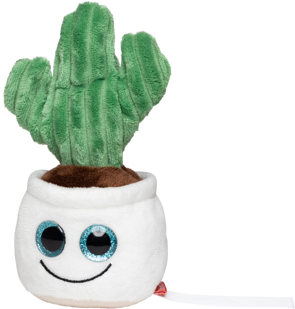 Kaktus Schmoozies® Evergreenies® - obrazek 6