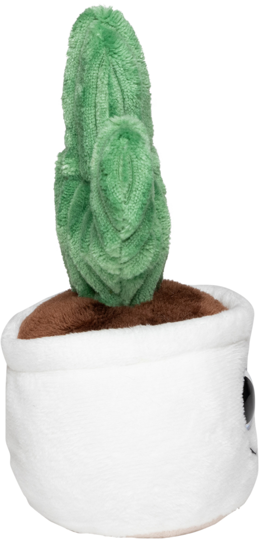 Kaktus Schmoozies® Evergreenies® - obrazek 9