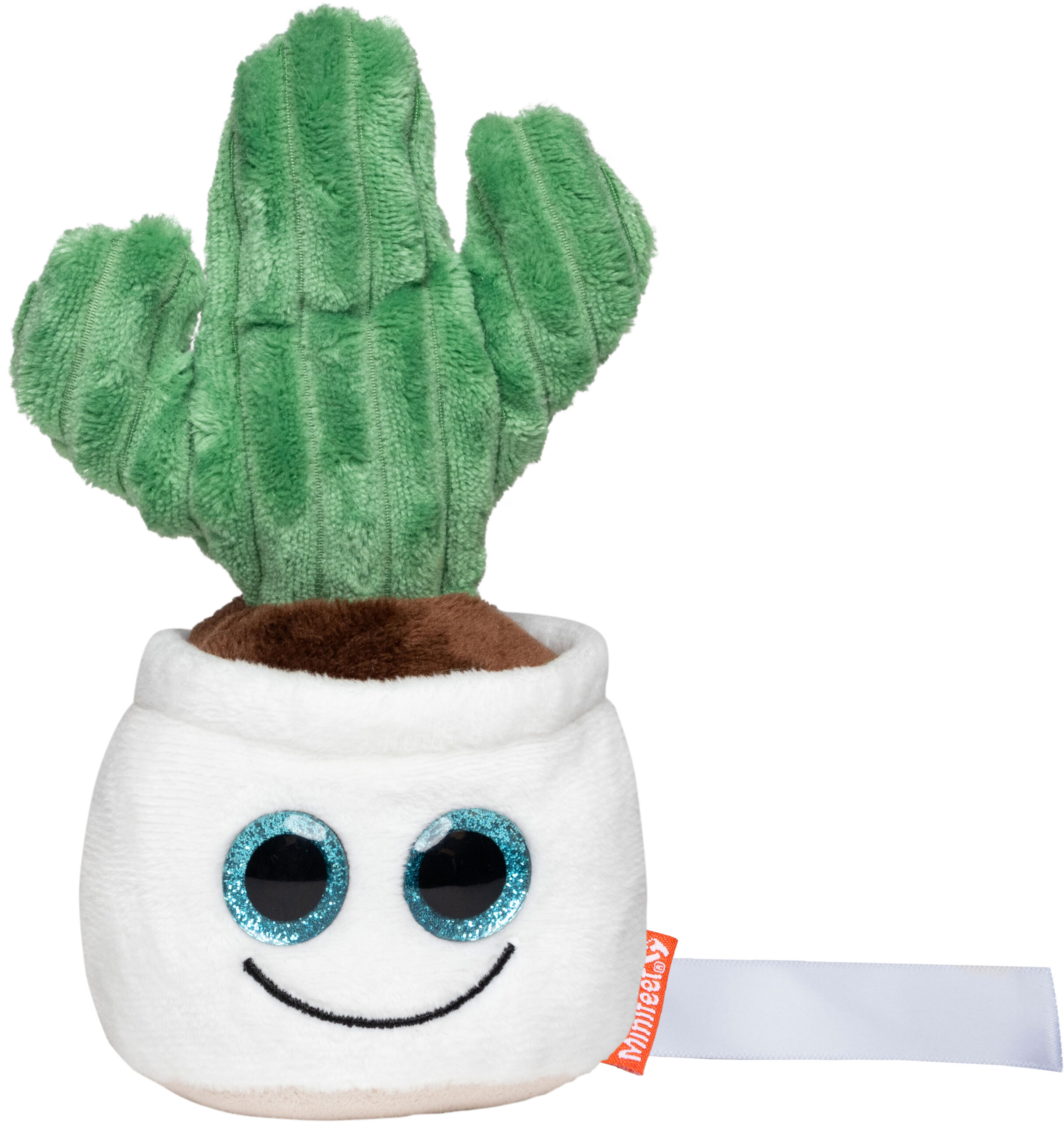Kaktus Schmoozies® Evergreenies®