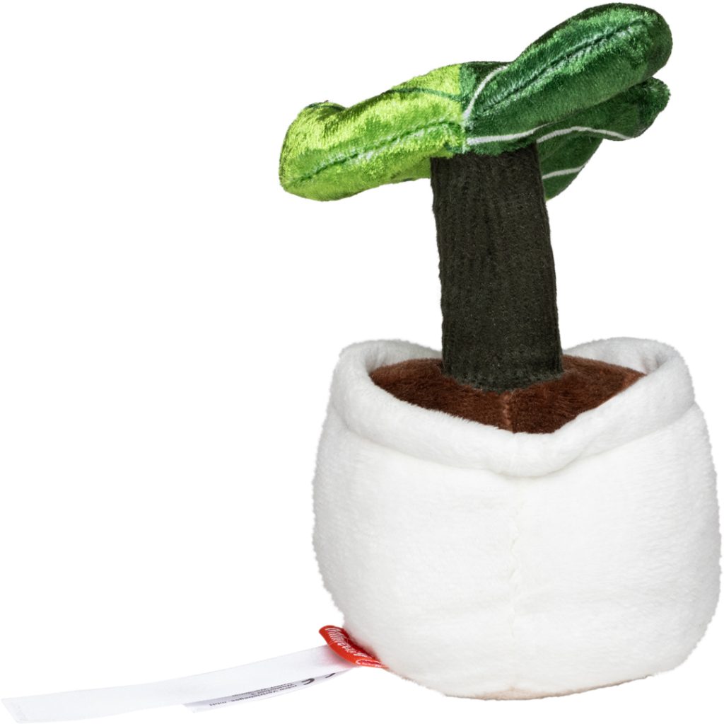 Schmoozies® Evergreenies® Monstera - obrazek 8