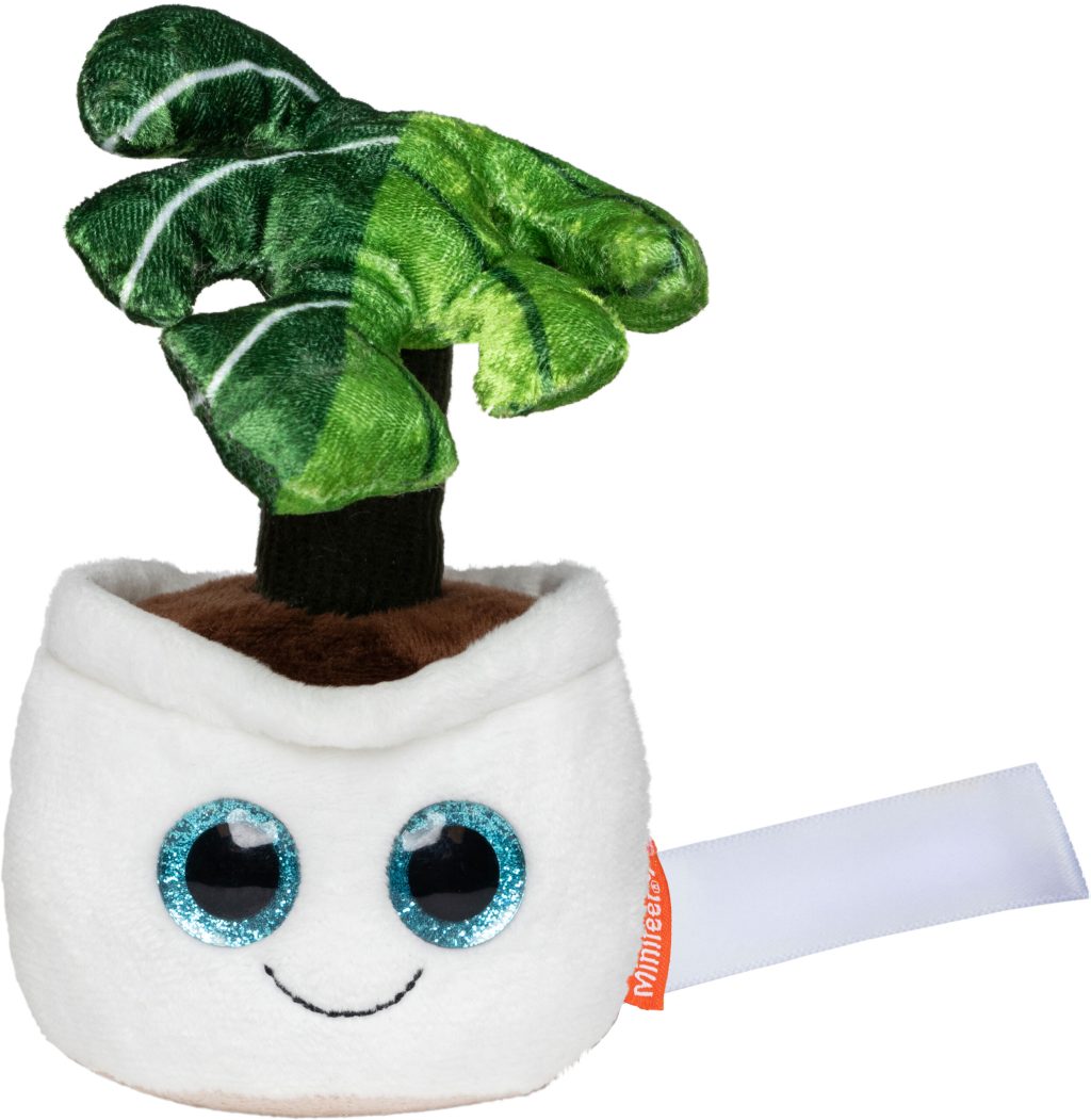 Schmoozies® Evergreenies® Monstera