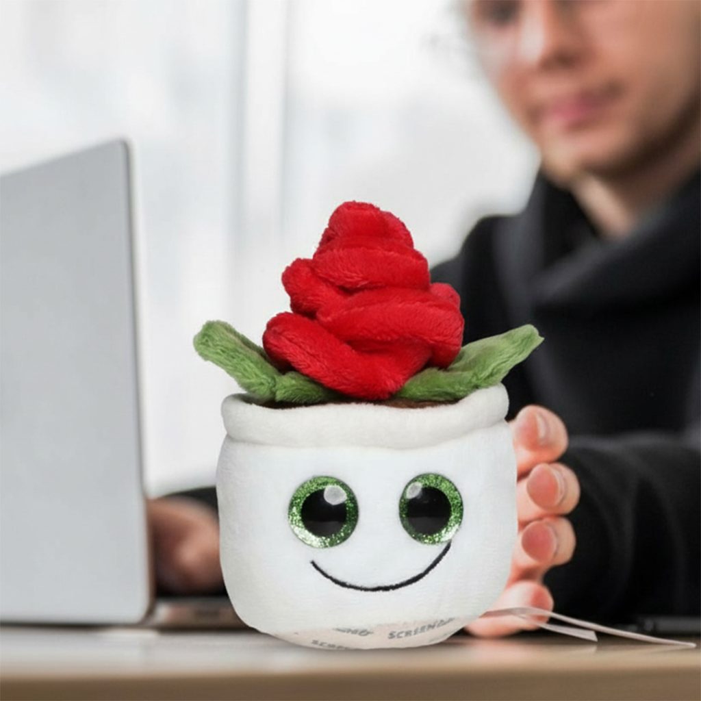Róża Schmoozies® Evergreenies® - obrazek 4