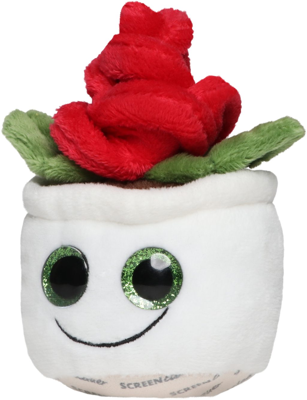 Róża Schmoozies® Evergreenies® - obrazek 5