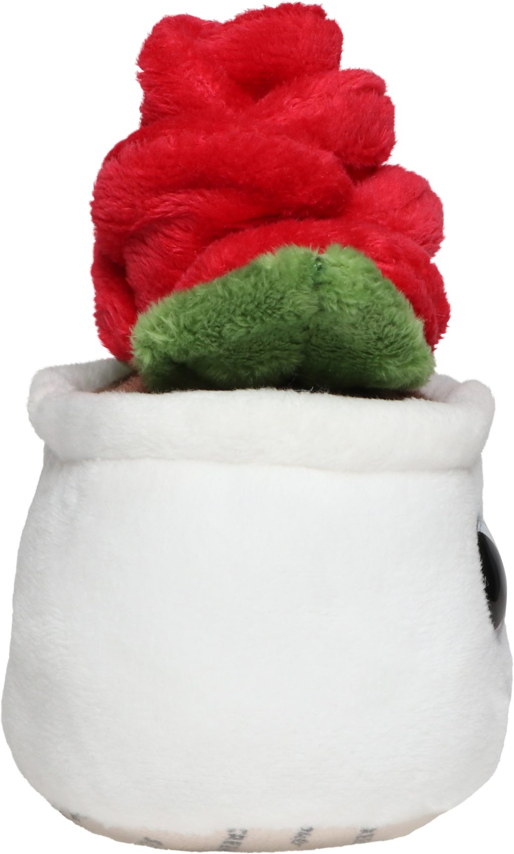 Róża Schmoozies® Evergreenies® - obrazek 8