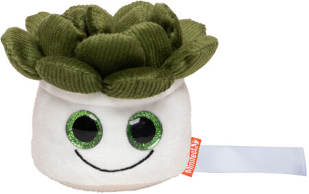 Sukulenty Schmoozies® Evergreenies®