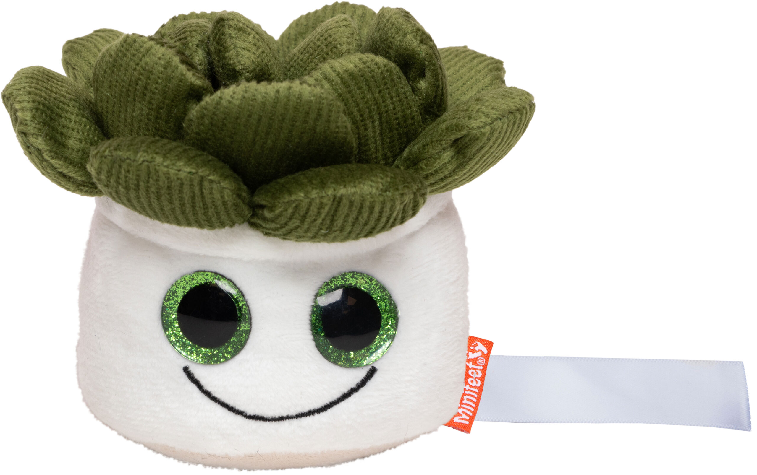 Sukulenty Schmoozies® Evergreenies®