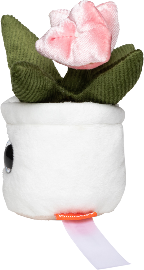 Tulipan Schmoozies® Evergreenies® - obrazek 7