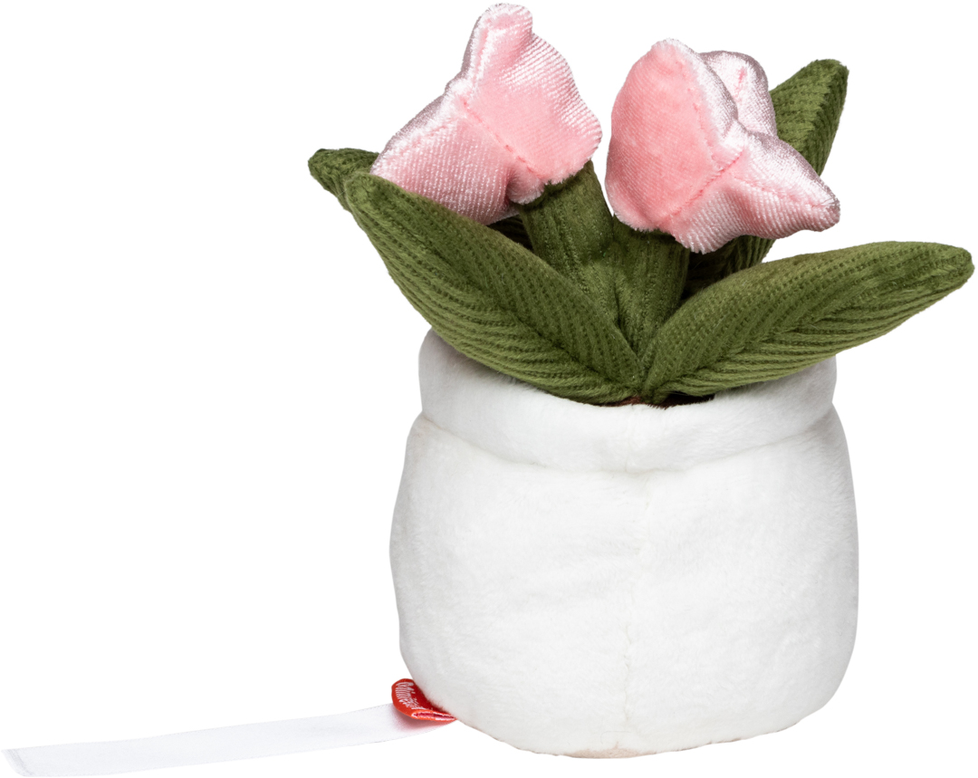 Tulipan Schmoozies® Evergreenies® - obrazek 8