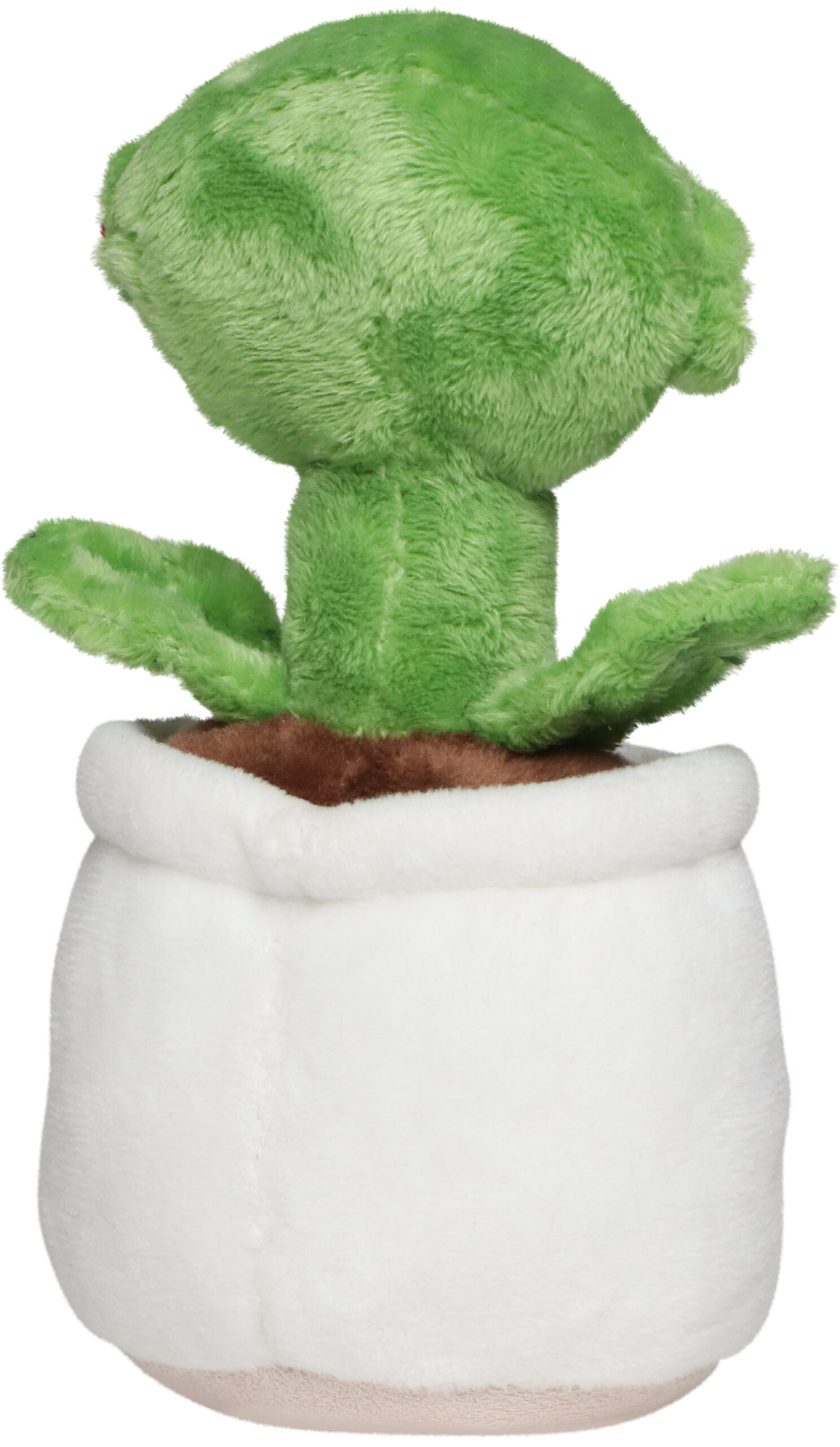 Schmoozies® Evergreenies® Muchołówka amerykańska - obrazek 7