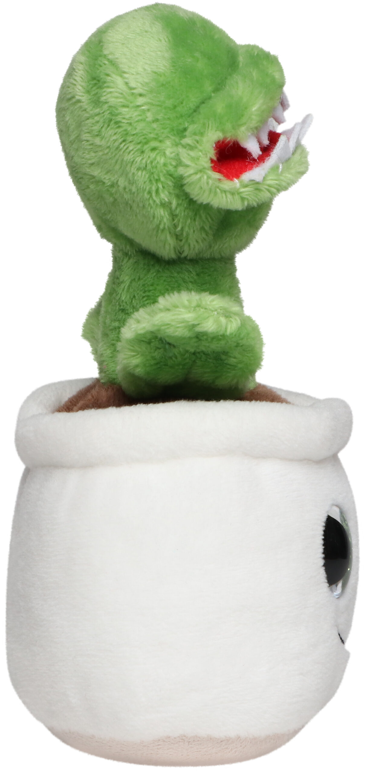 Schmoozies® Evergreenies® Muchołówka amerykańska - obrazek 8