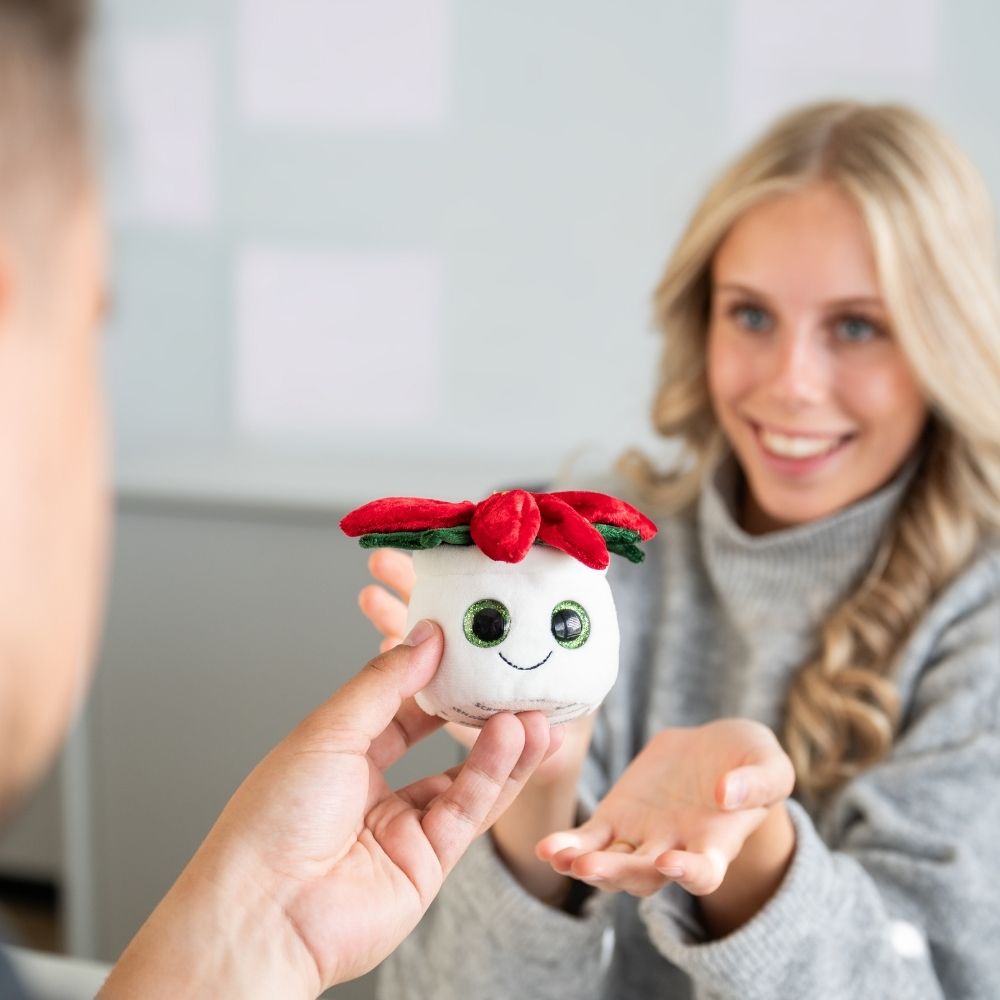 Schmoozies® Evergreenies® Kwiat bożonarodzeniowy - obrazek 3