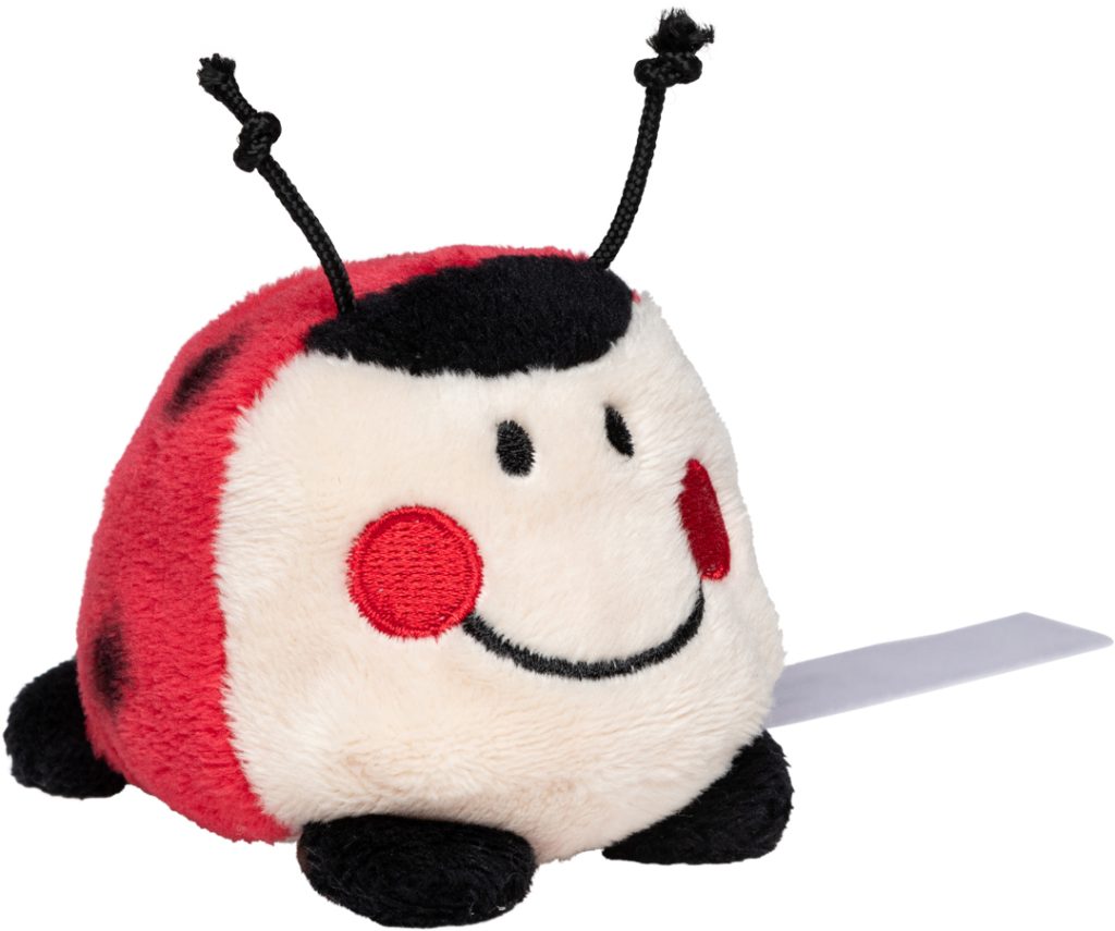 Biedronka Schmoozies®