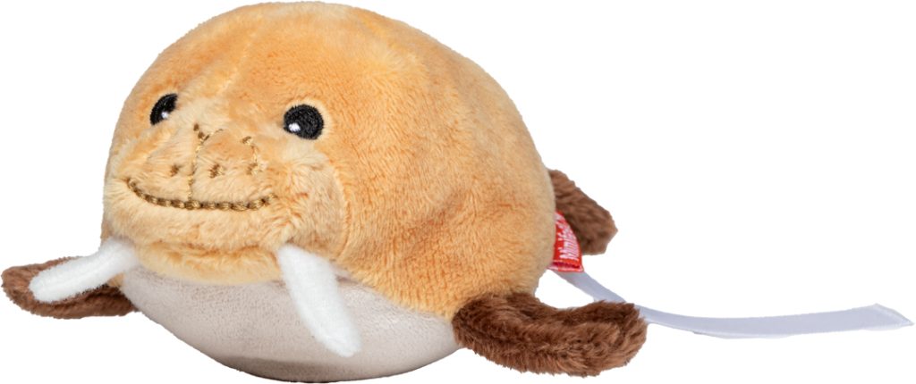 Mors Schmoozies®