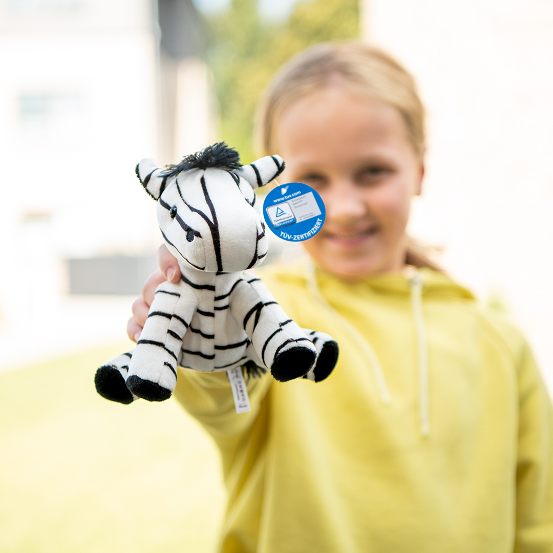 Zebra - obrazek 3