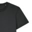 G. Dyed Black Rock